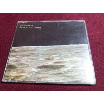 WOLFSHEIM ONCE IN A LIFETIME MAXI