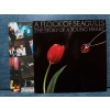 A FLOCK OF SEAGULLS STORY OF A YOUNG HEART
