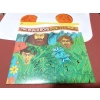 BEACH BOYS ENDLESS SUMMER   2 LP