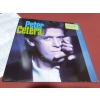 PETER CETERA SOLITUDE SOLITAIRE GLORY OF LOVE