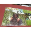 PETER TOSH LEGALIZE IT