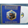 SAVAGE PROGRESS BURNING BUSH MAXI LP