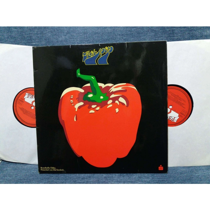 24 HOT POP HITS  2 LP