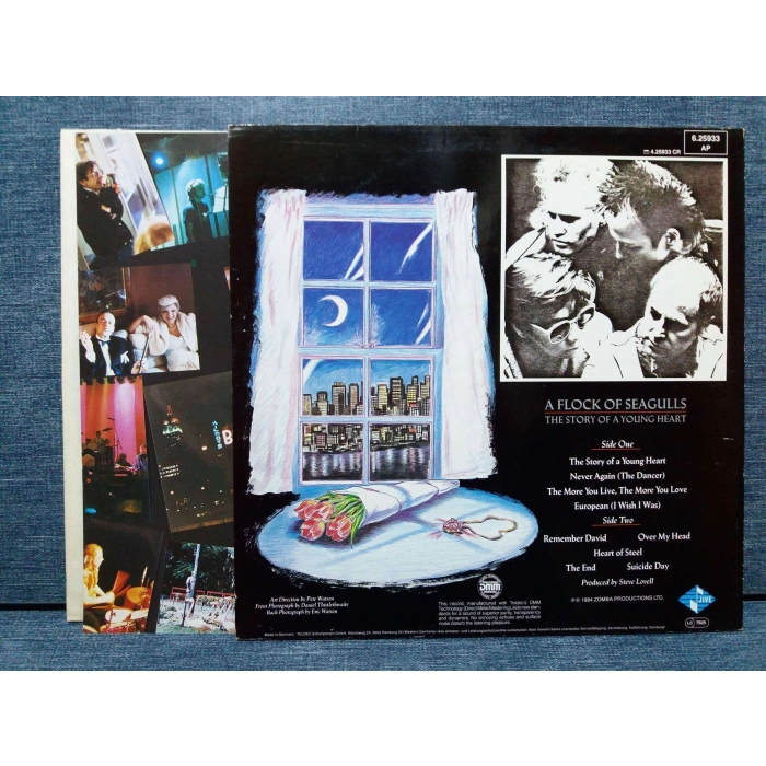 A FLOCK OF SEAGULLS STORY OF A YOUNG HEART