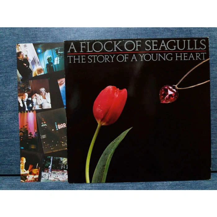 A FLOCK OF SEAGULLS STORY OF A YOUNG HEART