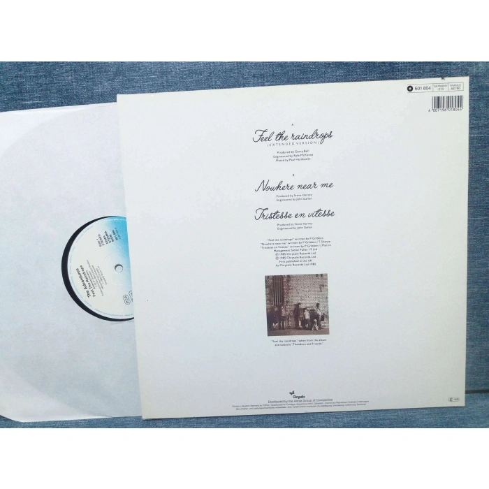 ADVENTURES FEEL THE RAINDROPS MAXI LP