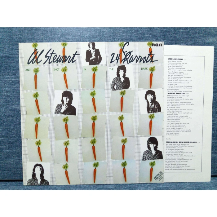 AL STEWART 24 CARROTS