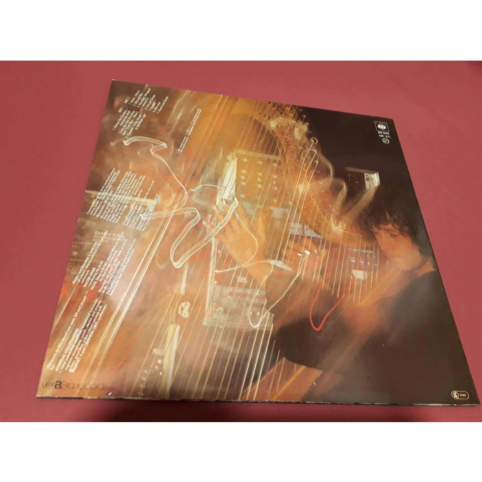 ANDREAS VOLLENWEIDER BEHIND GARDENS