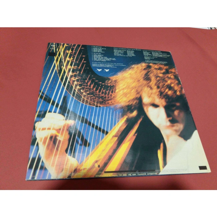 ANDREAS VOLLENWEIDER DOWN ON THE MOON