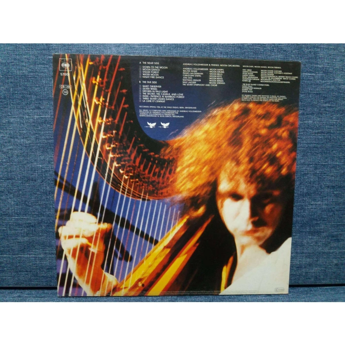 ANDREAS VOLLENWEIDER DOWN TO THE MOON