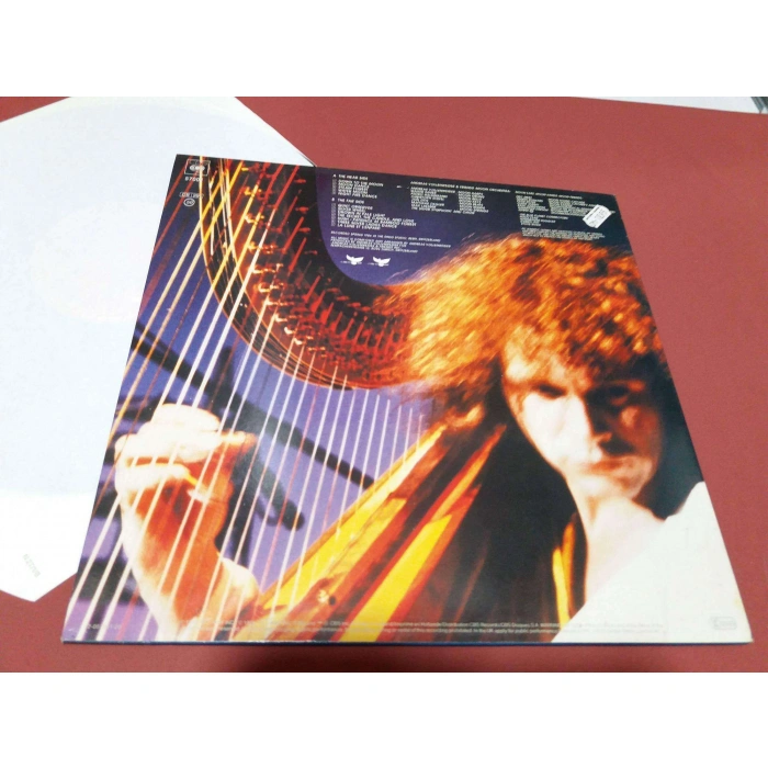 ANDREAS VOLLENWEIDER DOWN TO THE MOON