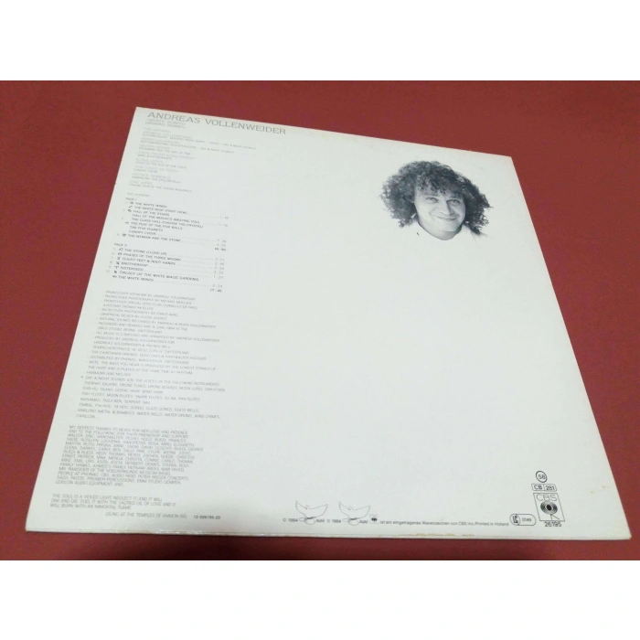 ANDREAS VOLLENWEIDER WHITE WINDS