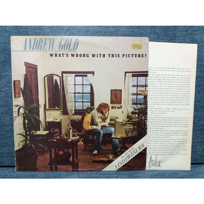 ANDREW GOLD WHATS WRONG PICTURE