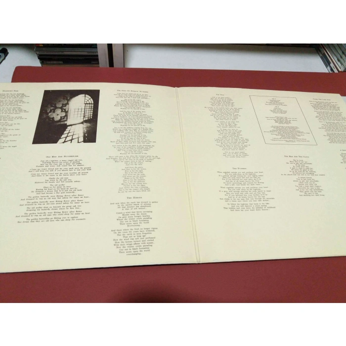 ANGELO BRANDUARDI  HIGHDOWN FAIR