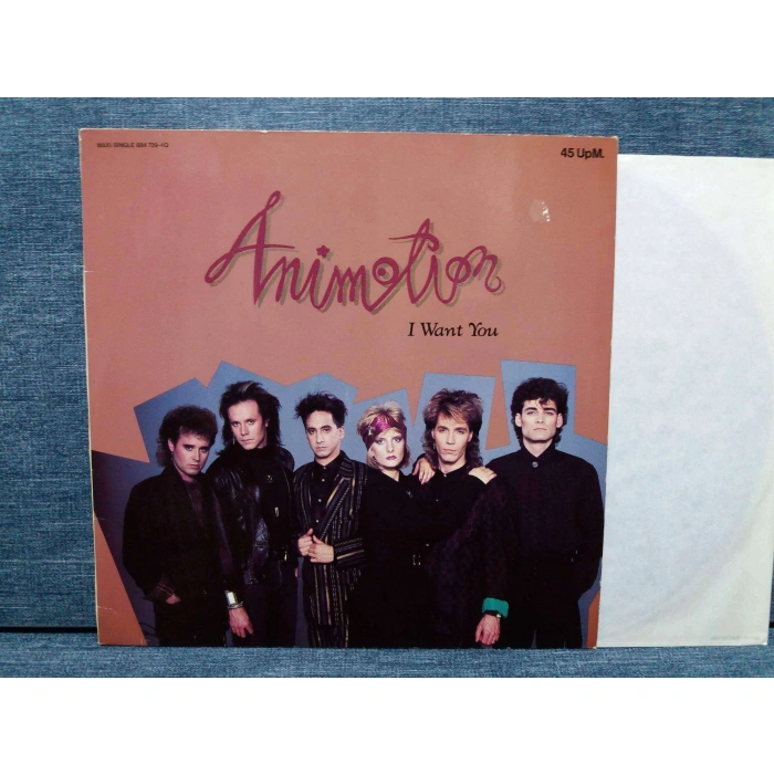 ANIMOTION I WANT YOU MAXI LP