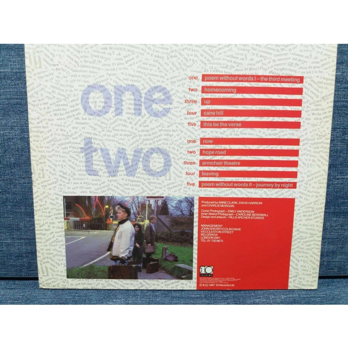 ANNE CLARK HOPELESS CASES