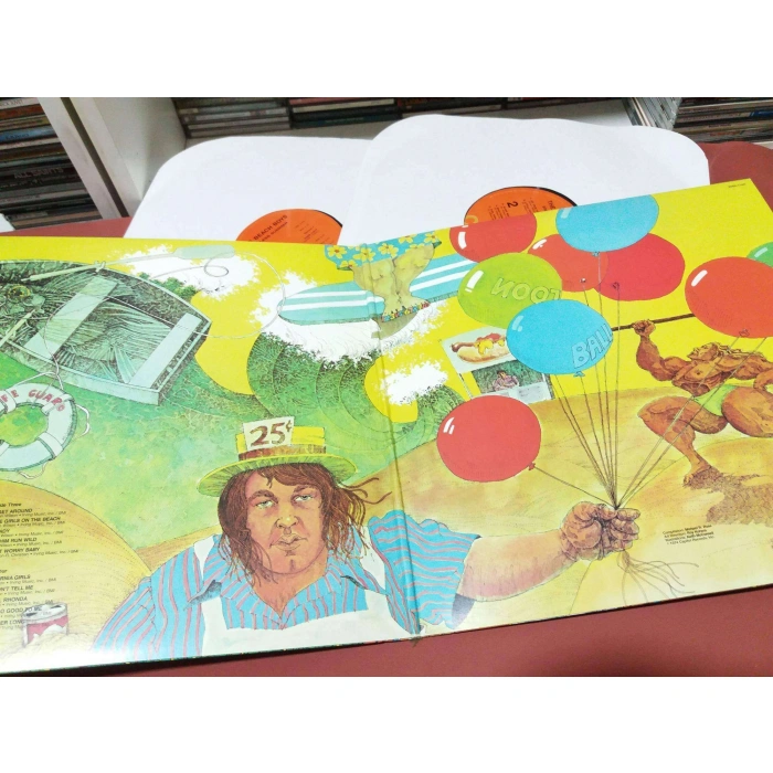 BEACH BOYS ENDLESS SUMMER   2 LP