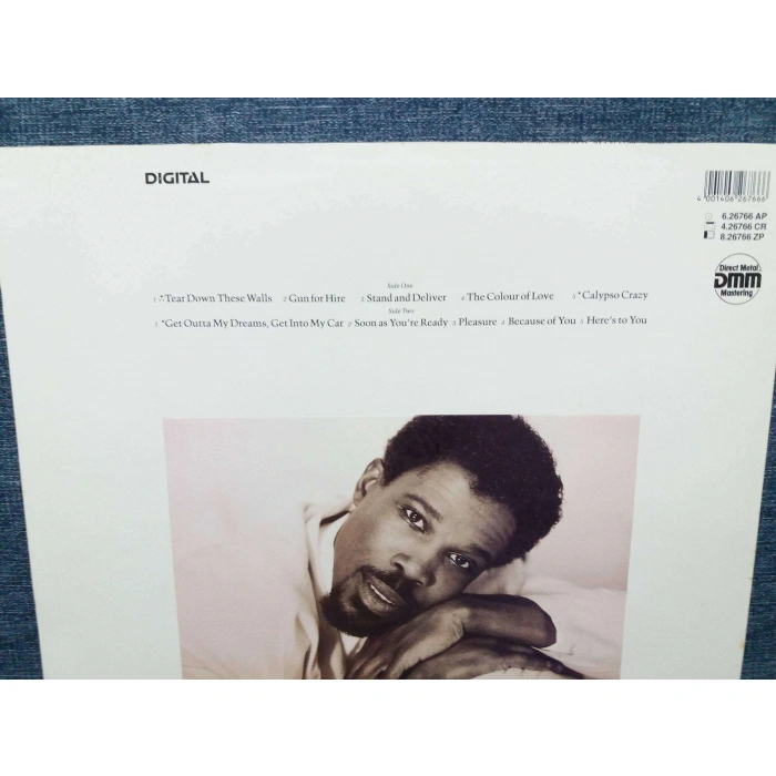 BILLY OCEAN TEAR DOWN THESE WALLS