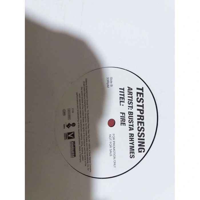 BUSTA RHYMES FIRE MAXI LP