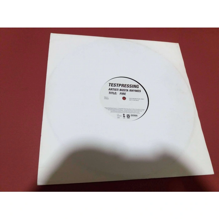 BUSTA RHYMES FIRE MAXI LP