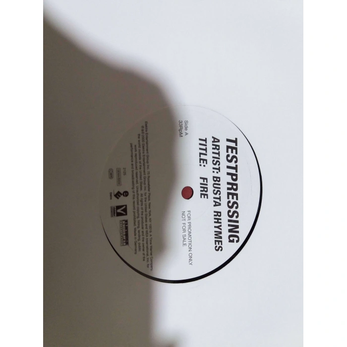 BUSTA RHYMES FIRE MAXI LP