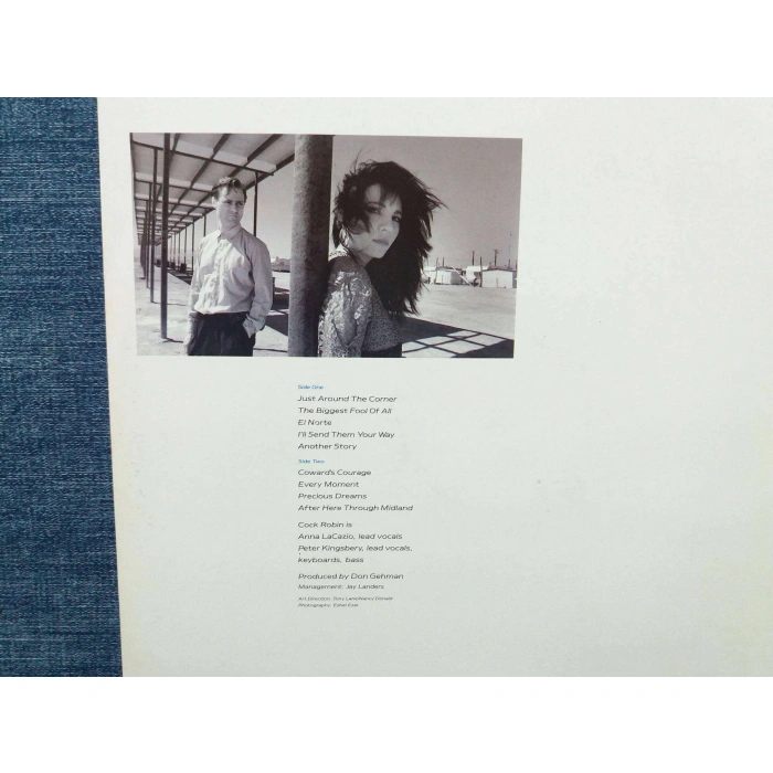 COCK ROBIN MUSIC LP ALBUM