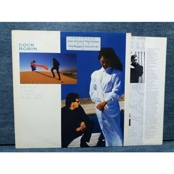 COCK ROBIN MUSIC LP ALBUM