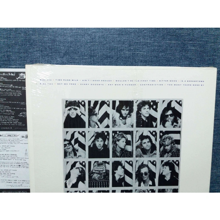 DANNY WILDE ANY MANS HUNGER