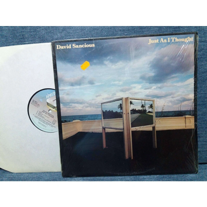 DAVID SANCIOUS JUST AS I THOUGHT