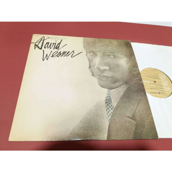 DAVID WERNER IMAGINATION