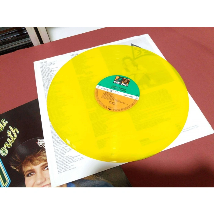 DEBBIE GIBSON ELECTRIC YOUTH  [ COLOURS EDITION PRESS ]