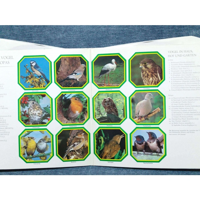 DOĞAL KUŞ SESLERİ  STIMMEN VOGEL   2 LP