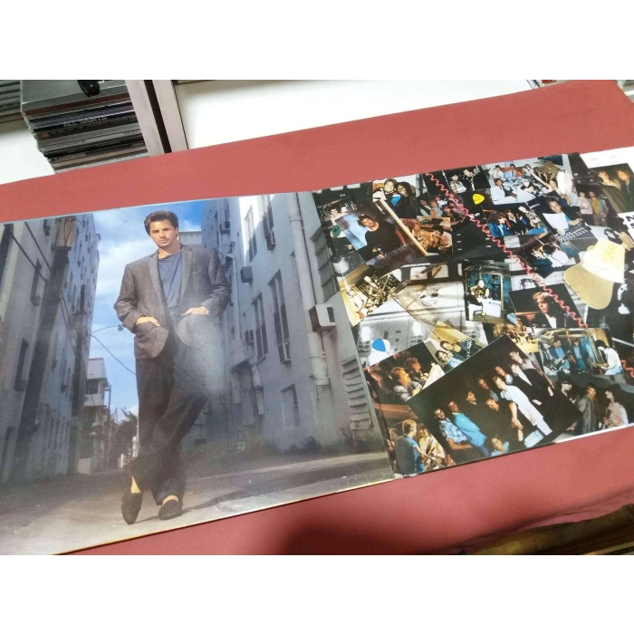 DON JOHNSON HEART BEAT