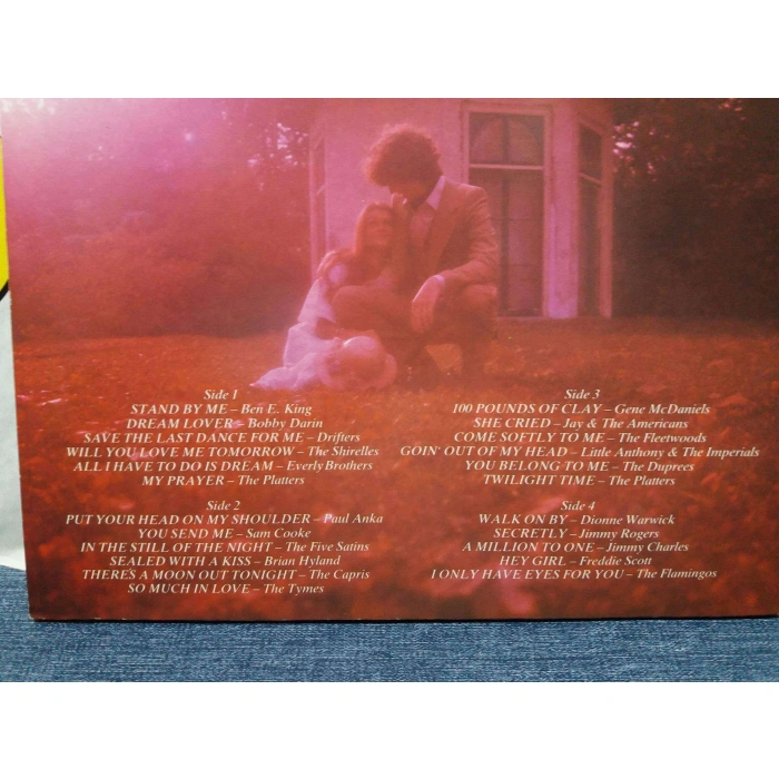 DREAM LOVER  2 LP