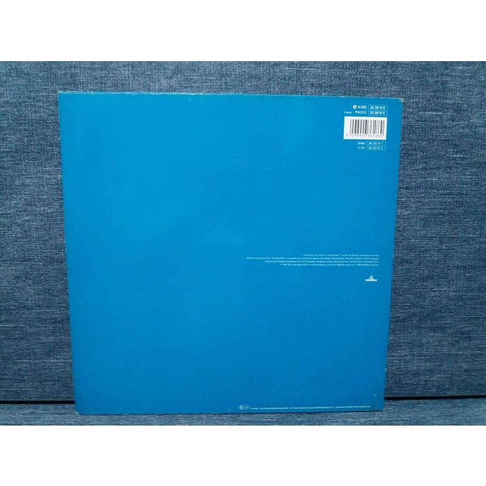 DUSTY SPRINGFIELD IN PRIVATE MAXI LP