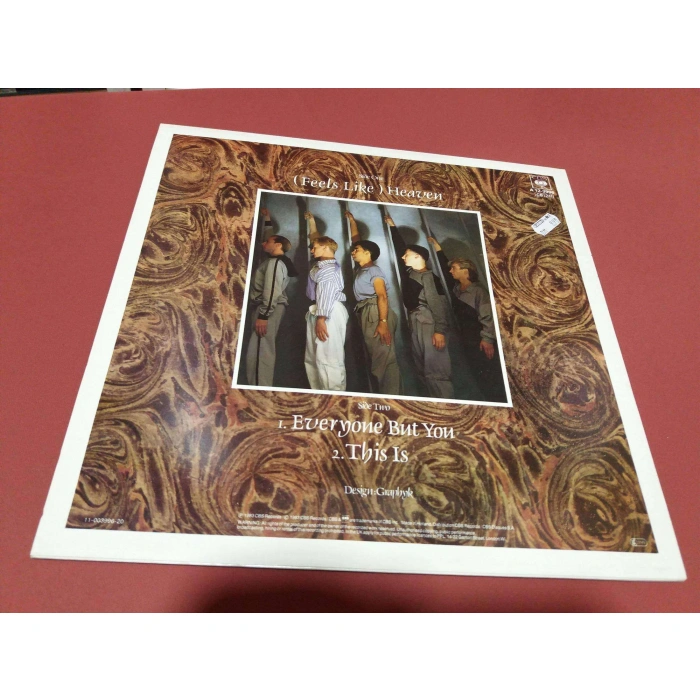 FICTION FACTORY FEELS LIKE MAXI LP