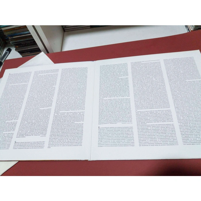 FRANZ SCHUBERT QUARTETTSATZ