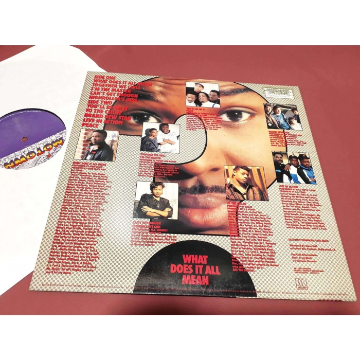 GREG MACK WHAT DOES IT ALL MEAN