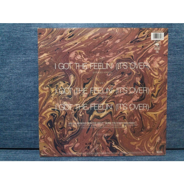 GREGORY ABBOTT I GOT THE FEELIN MAXI LP