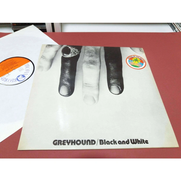 GREYHOUND BLACK AND WHITE