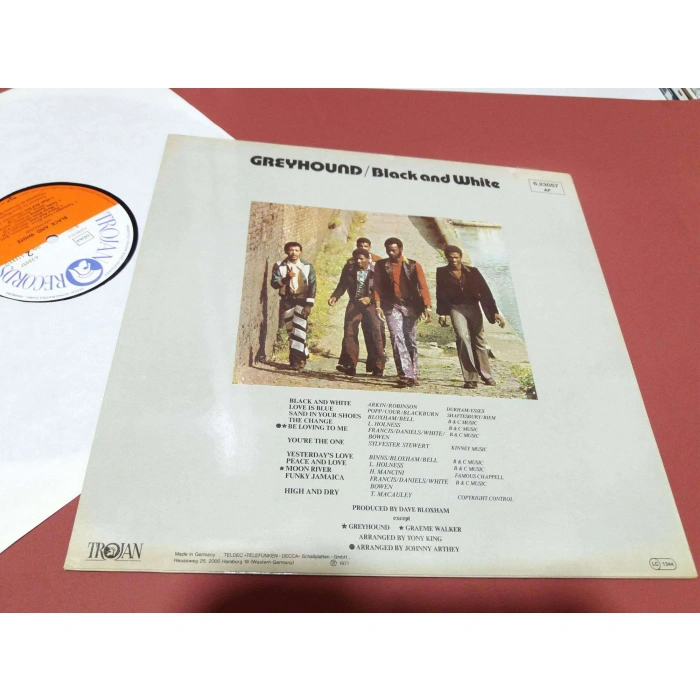 GREYHOUND BLACK AND WHITE