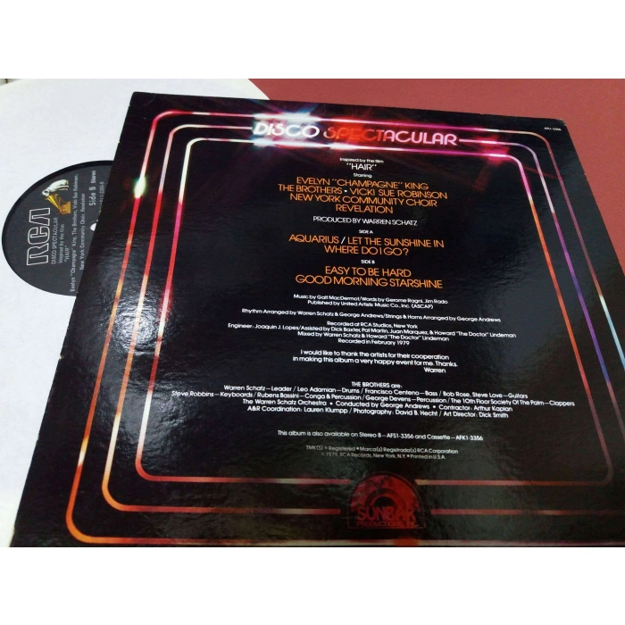 HAIR DISCO SPECTACULAR