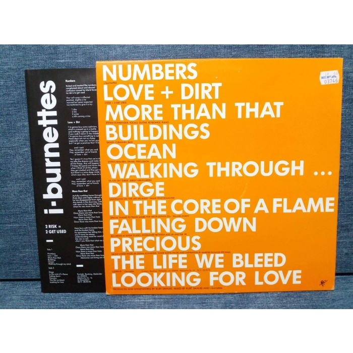 I BURNETTES 2 RISK 2 GET USED