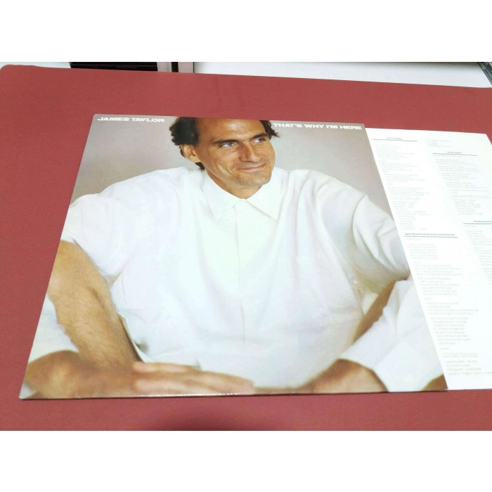 JAMES TAYLOR THATS WHY IM HERE