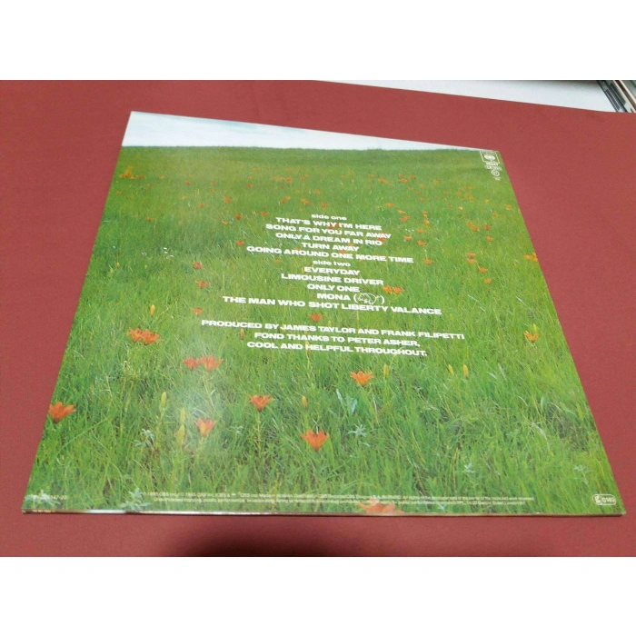 JAMES TAYLOR THATS WHY IM HERE