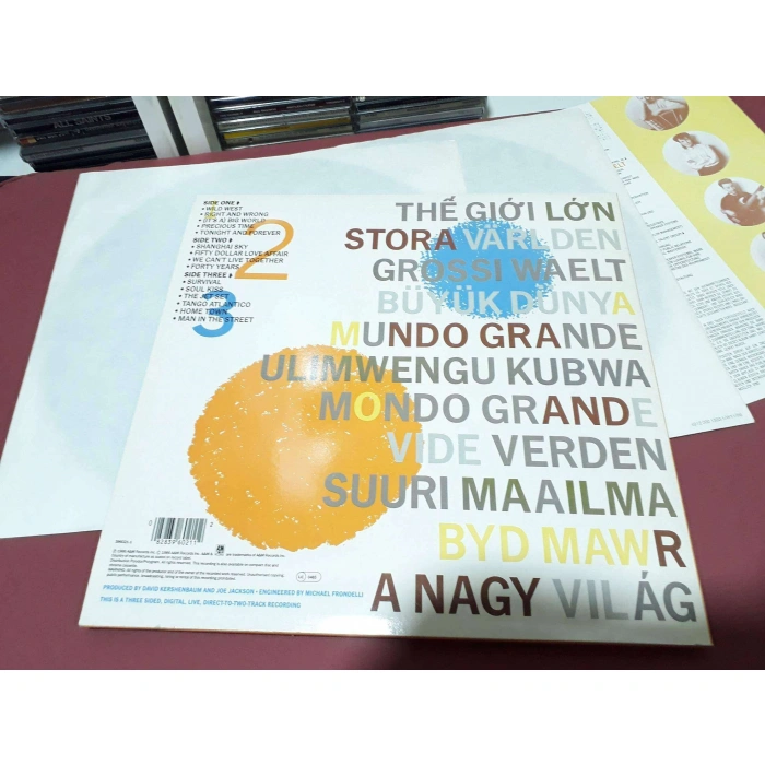 JOE JACKSON BIG WORLD 2 LP
