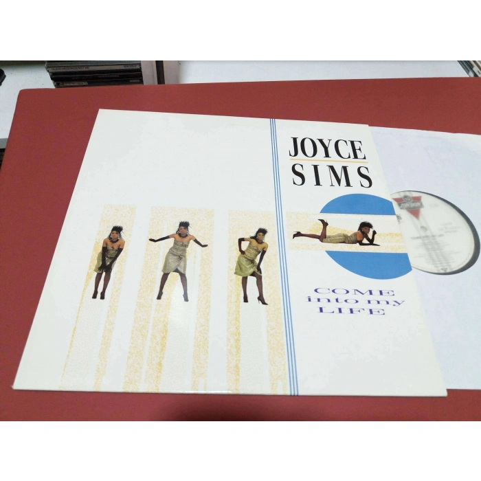 JOYCE SIMS COME INTO MY LIFE