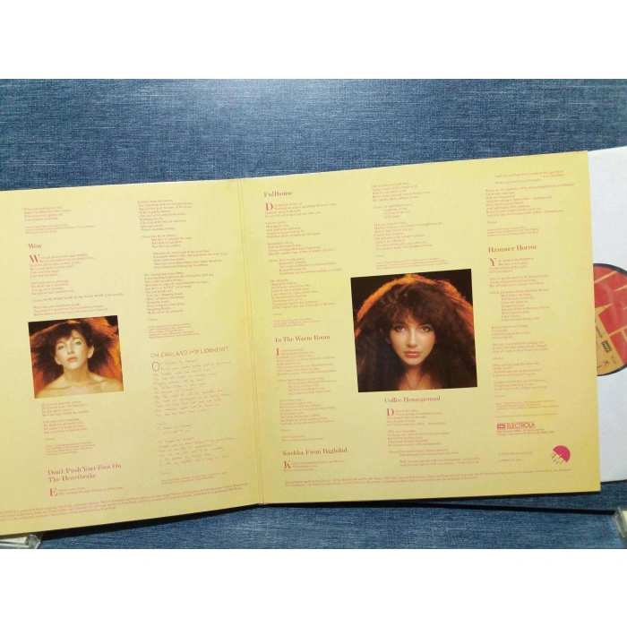 KATE BUSH LION HEART