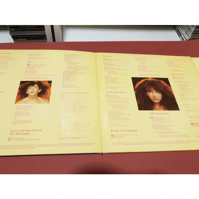 KATE BUSH LION HEART