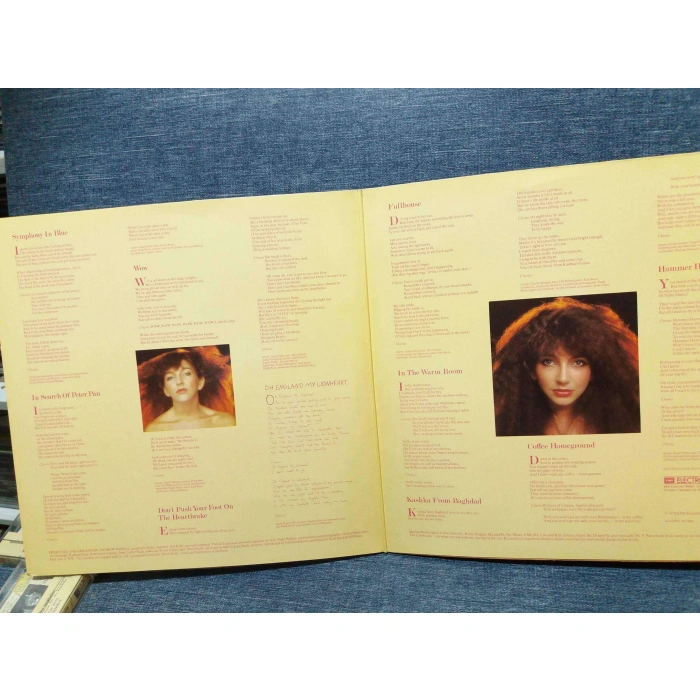 KATE BUSH LION HEART